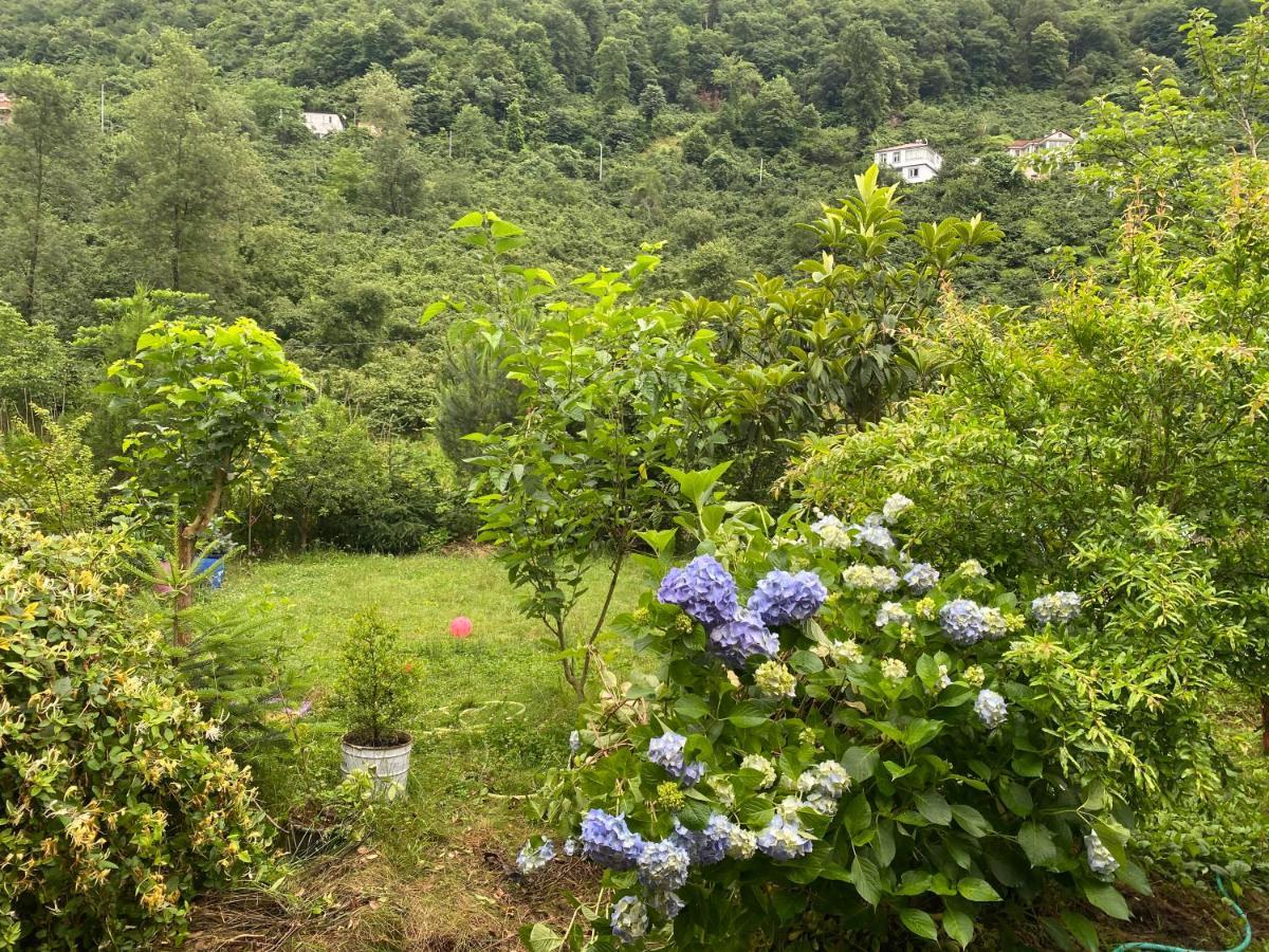 Doga Villa Yomra Ngoại thất bức ảnh
